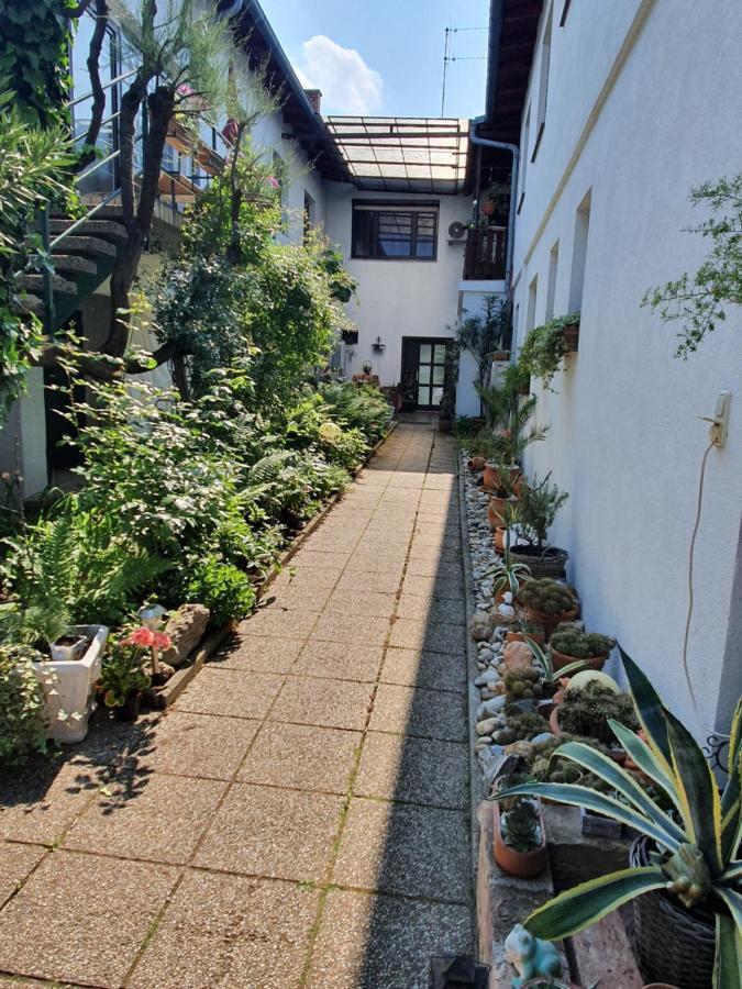 Appartement Roiss Podersdorf am See Exterior foto